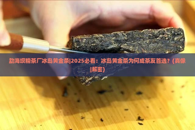 勐海坝糯茶厂冰岛黄金条