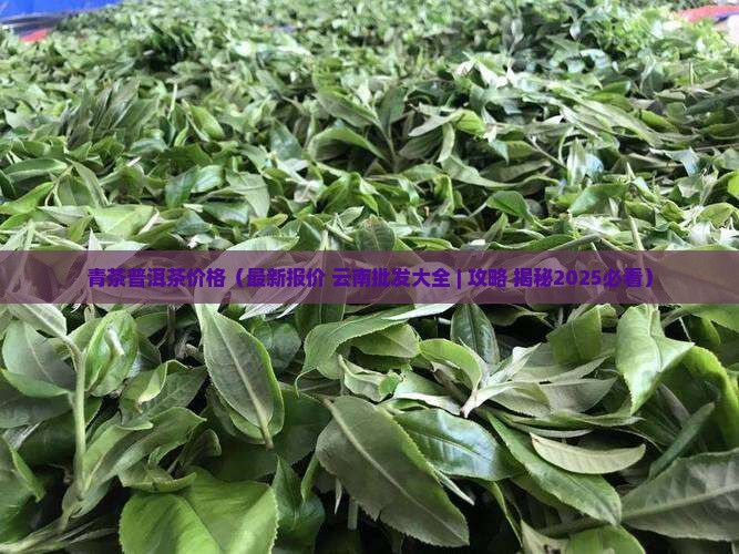 青茶普洱茶价格
