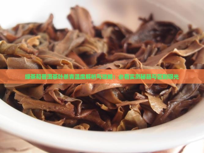 绿茶和普洱茶叶杀青温度