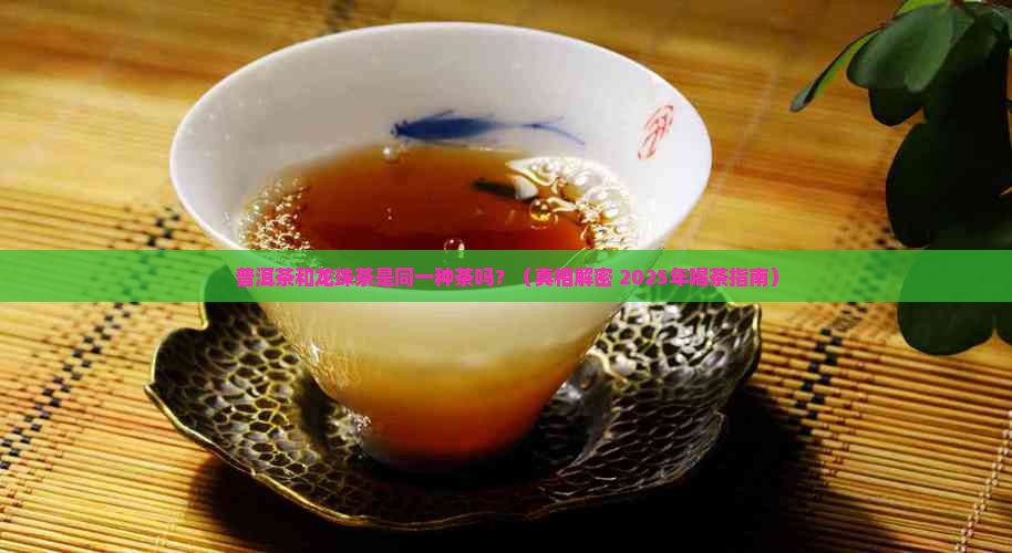 普洱茶是龙珠茶吗