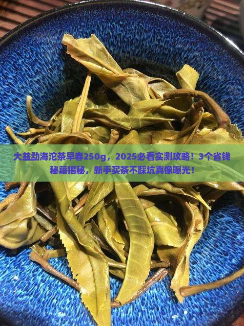 大益勐海沱茶早春250g