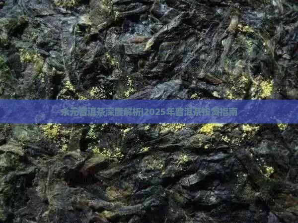永元号周氏普洱茶