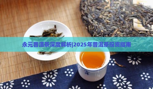 永元号周氏普洱茶