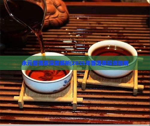 永元号周氏普洱茶
