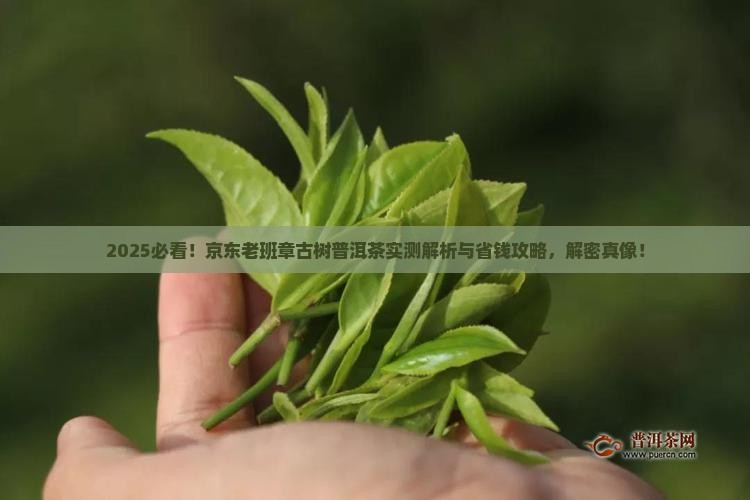 京东老班章古树普洱茶