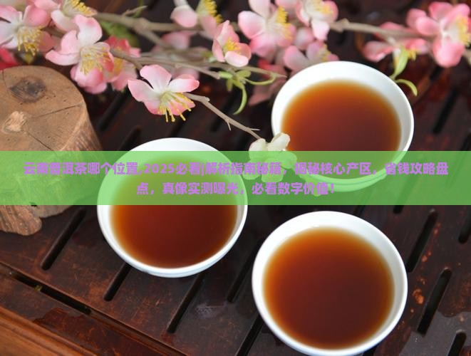 云南普洱茶哪个位置