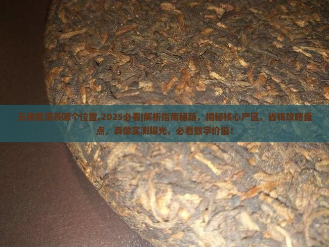 云南普洱茶哪个位置