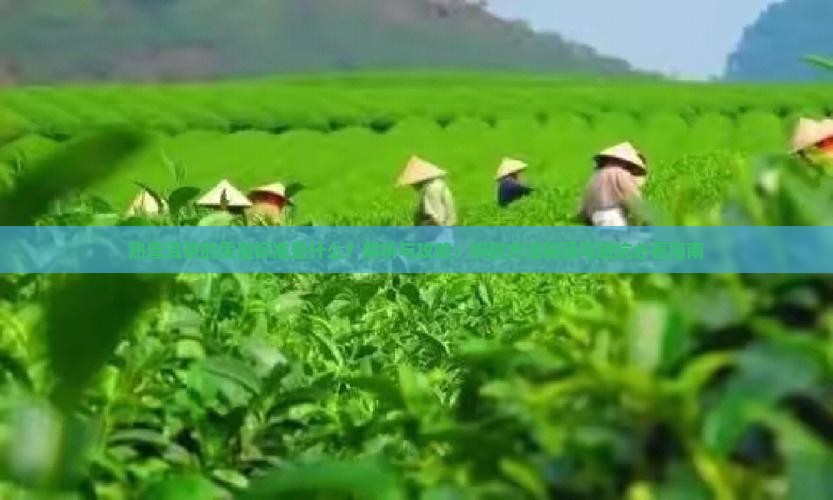 熟普洱茶的质量标准是什么