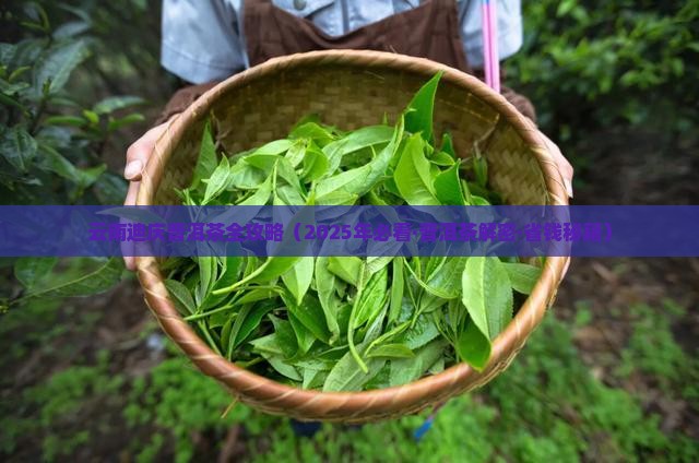云南迪庆普洱茶