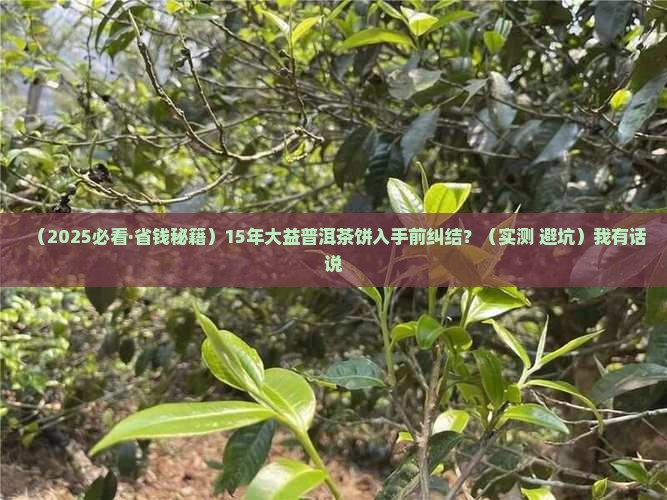 15年大益普洱茶饼