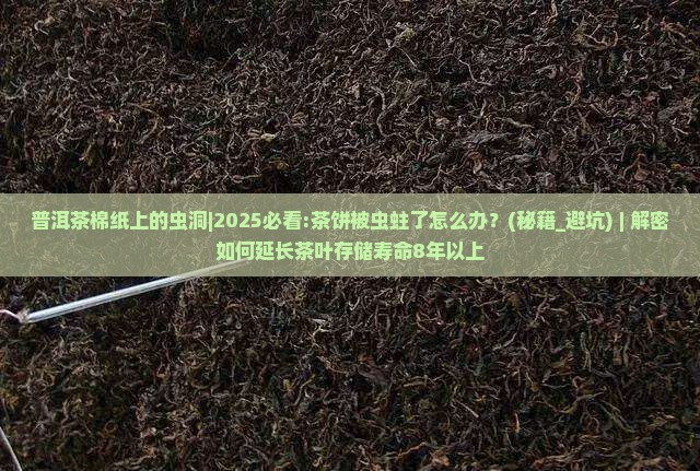 普洱茶棉纸上的虫洞