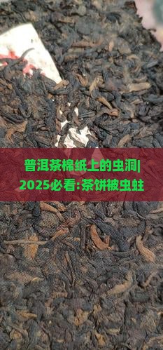 普洱茶棉纸上的虫洞