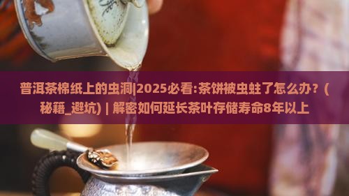 普洱茶棉纸上的虫洞