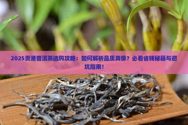 贵港有品质的普洱茶