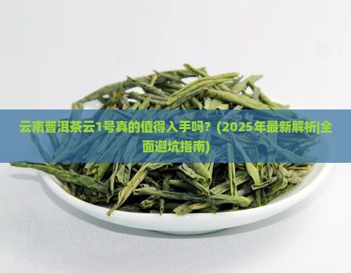 云南普洱茶云1号