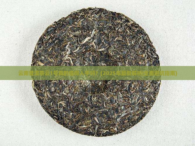 云南普洱茶云1号