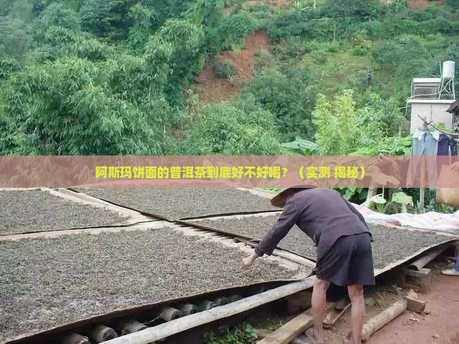 阿斯玛饼面的普洱茶好喝吗
