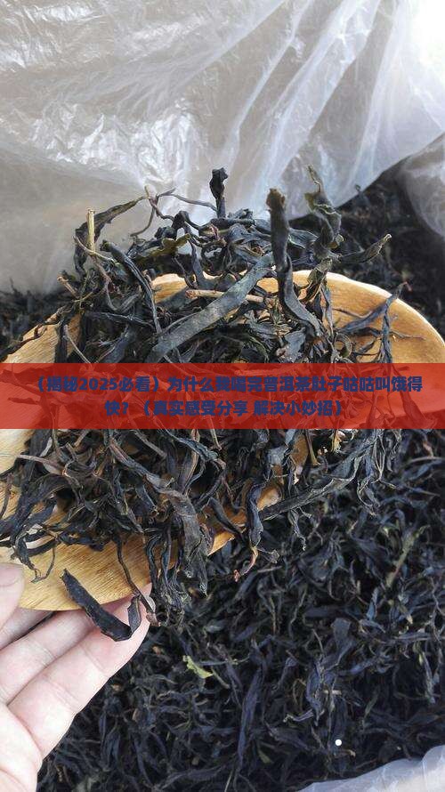 普洱茶喝完好饿