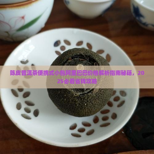 陈皮普洱茶便携式小包