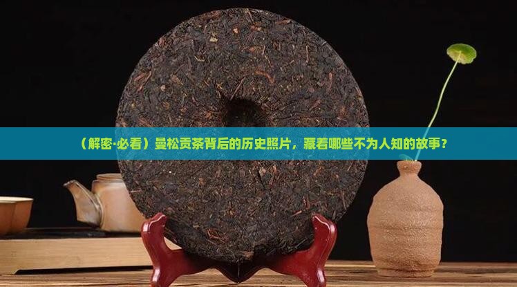 曼松贡茶历史照片
