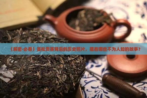 曼松贡茶历史照片