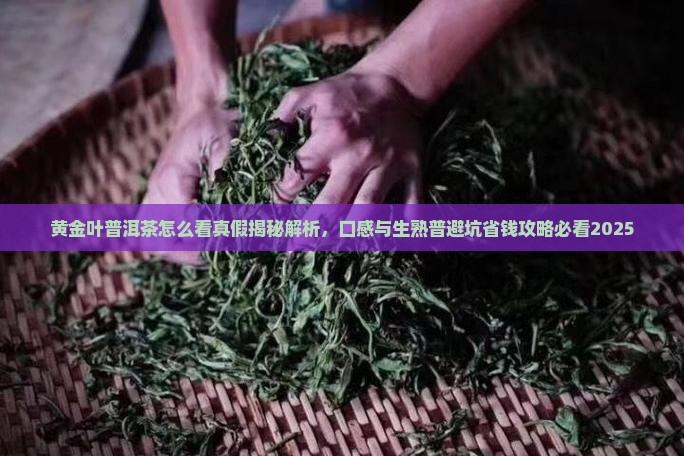 黄金叶普洱茶怎么看真假