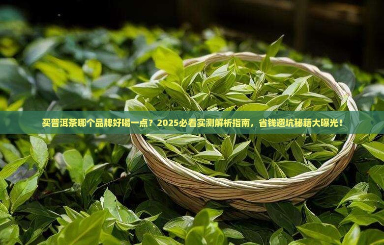 买普洱茶哪个品牌好喝一点