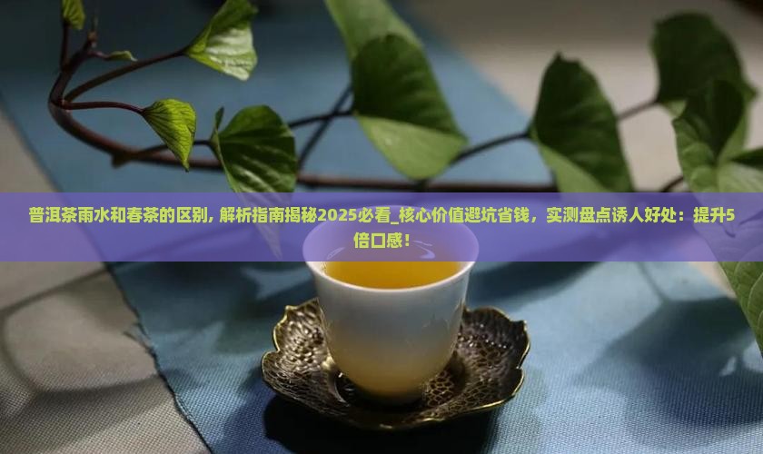 普洱茶雨水和春茶的区别
