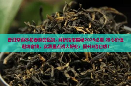 普洱茶雨水和春茶的区别