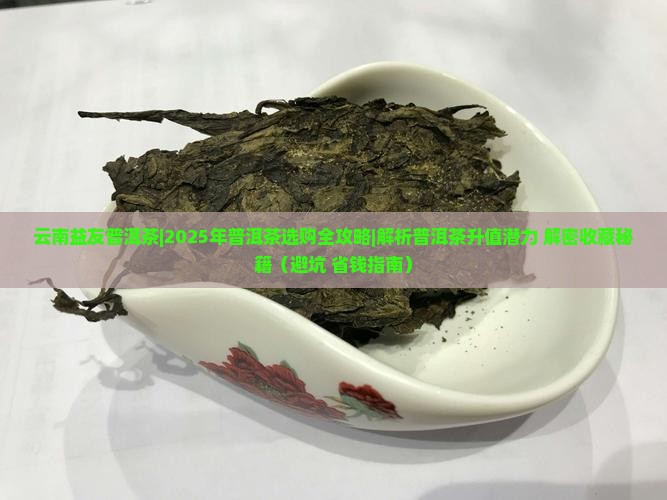 云南益友普洱茶