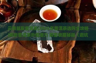云南益友普洱茶