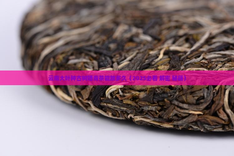 云南大叶种古树晒青茶能放多久