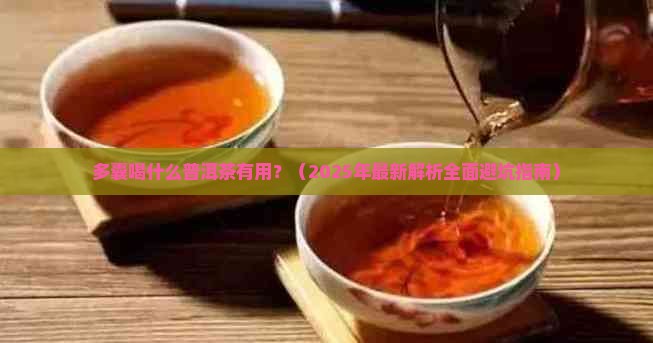 多囊喝什么普洱茶有用