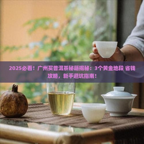 广州哪里买普洱茶比较好