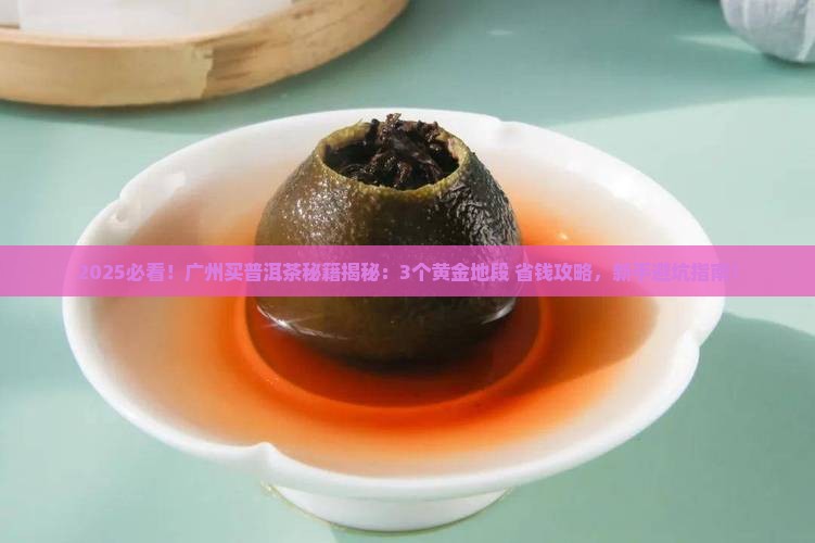 广州哪里买普洱茶比较好