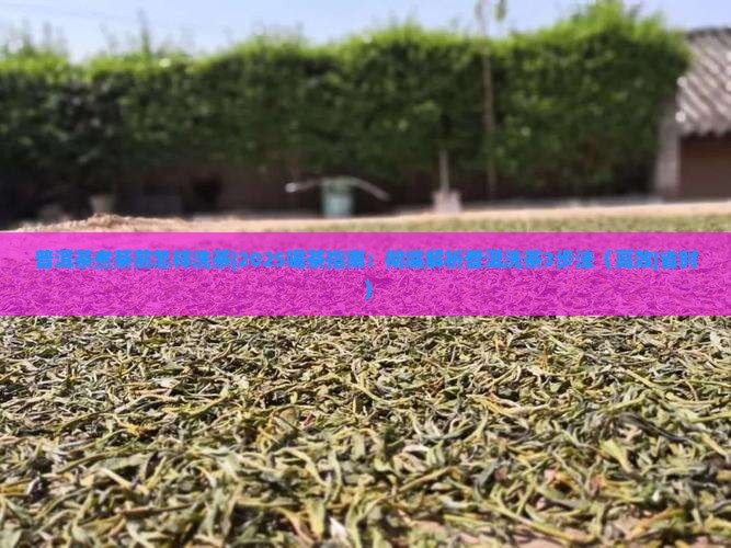 普洱茶煮茶前怎样洗茶