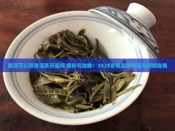 紫泥可以用普洱茶开壶吗