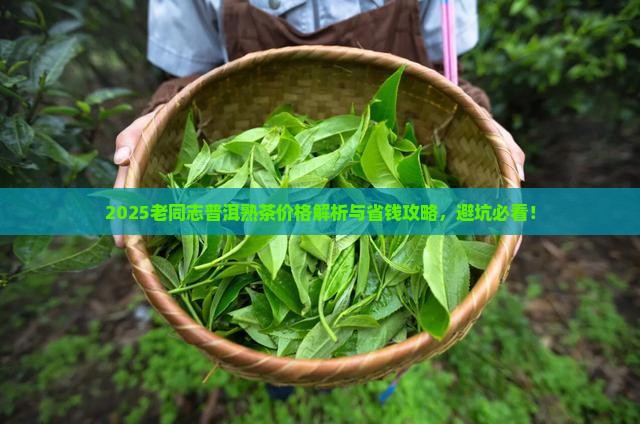 老同志普洱散茶熟茶价格