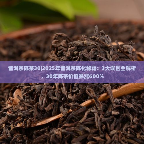 普洱茶陈茶30