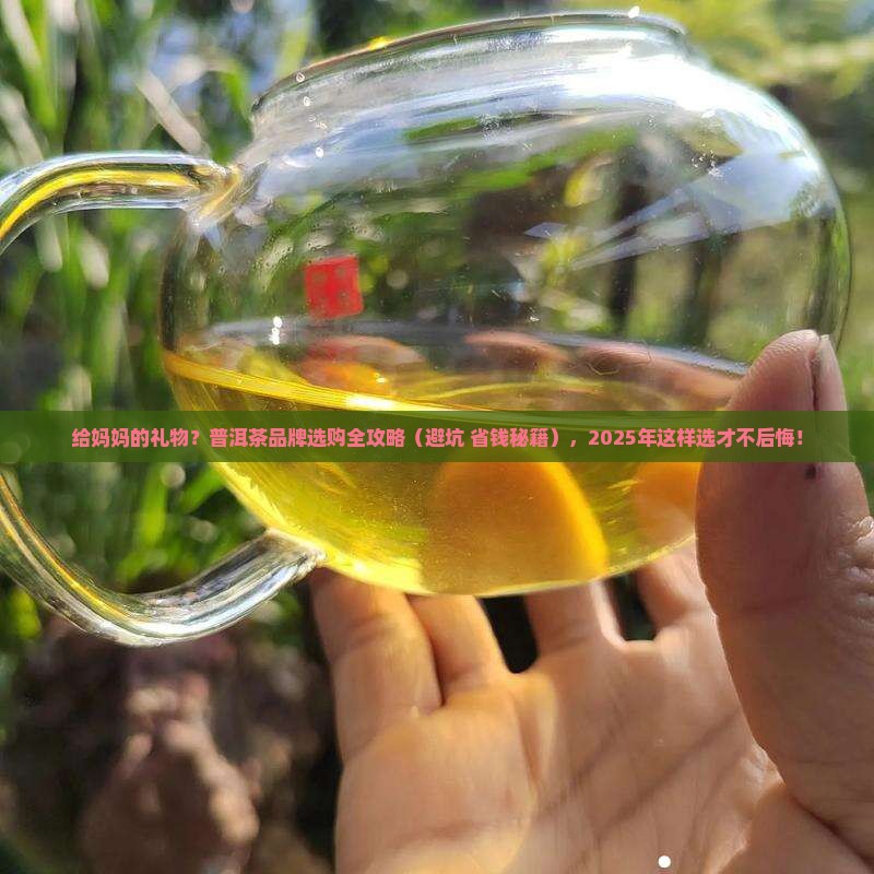 冲泡普洱茶品牌包包送妈妈