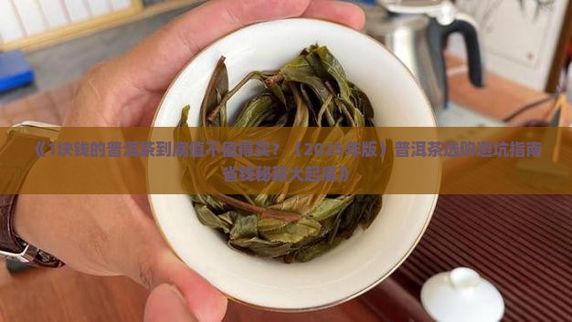 1块钱的普洱茶好吗值得买吗
