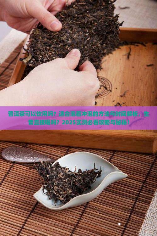 普洱茶有茶泡吗能喝吗