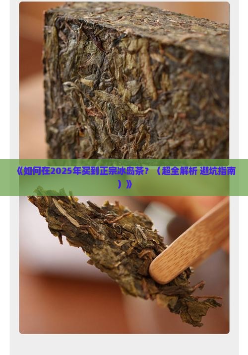 怎么才能买到冰岛的茶