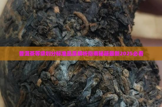 普洱茶品质调控标准表最新