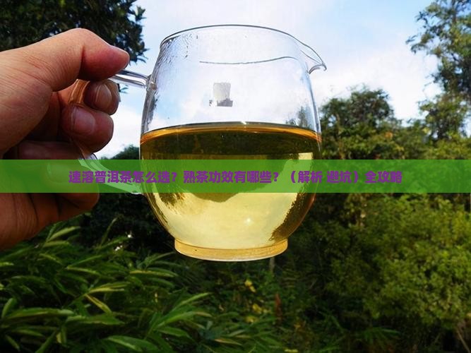 速溶普洱茶叶熟茶