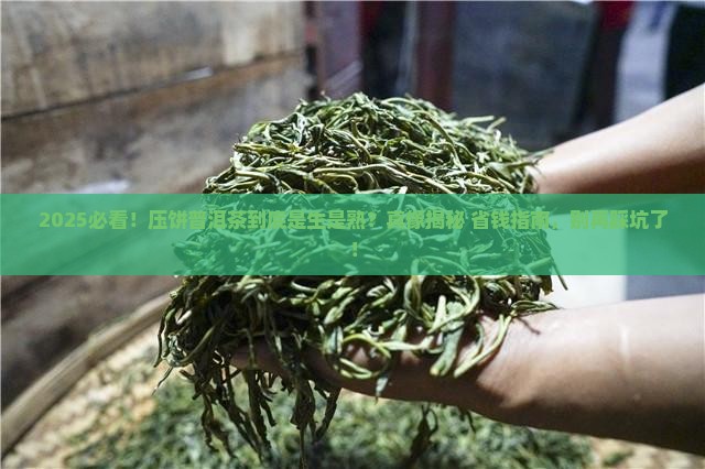 压饼的普洱茶是生茶熟茶
