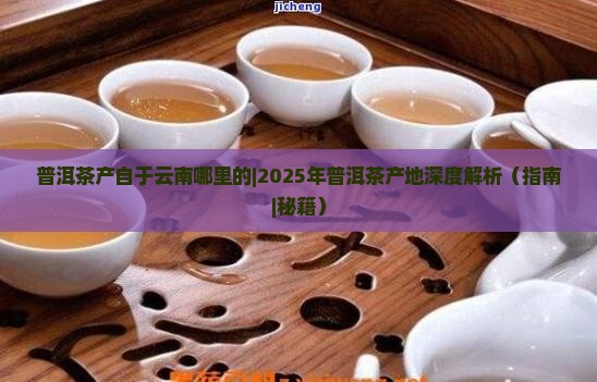 普洱茶产自于云南哪里的