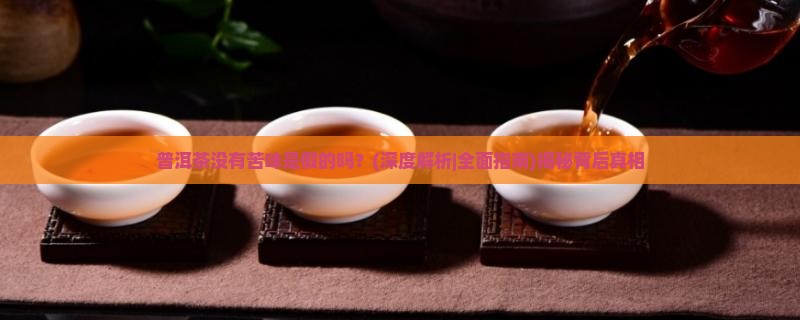 普洱茶没有苦味