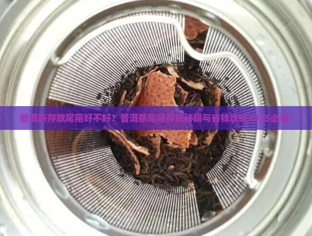 普洱茶尾箱好不好
