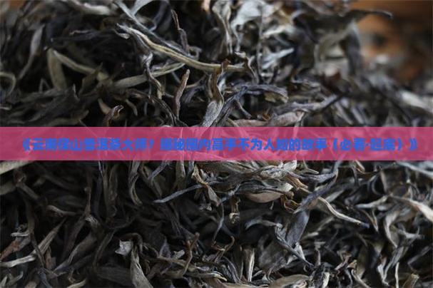 云南保山普洱茶大师